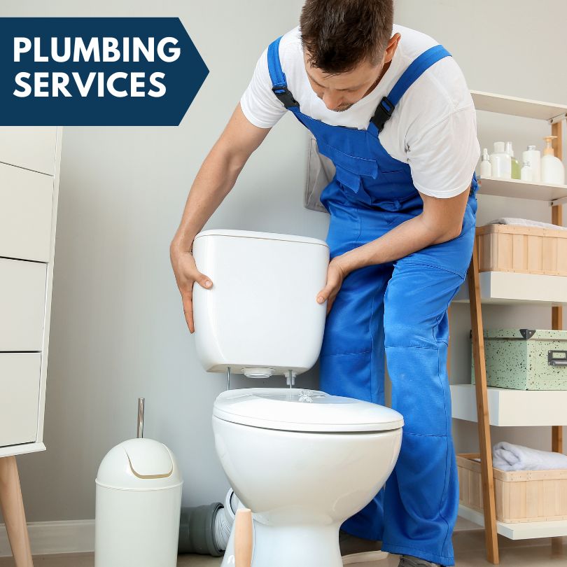 Plumbing Company in Park Forest, IL